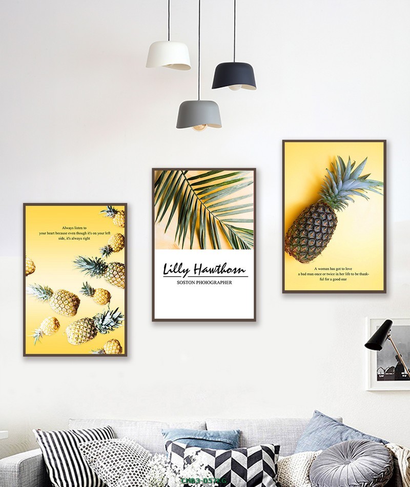 quả dứa - nhiệt đới CHB3-057KG